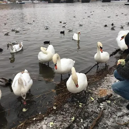 Vltava Appartement *