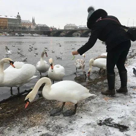 شقة Vltava *