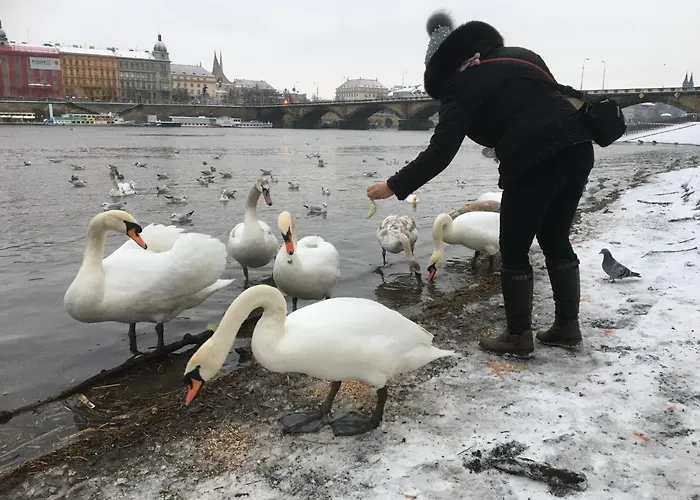 Διαμέρισμα Vltava *