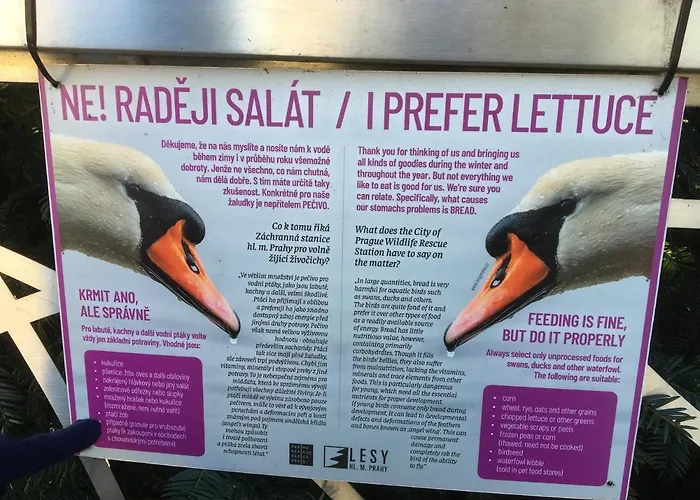 Vltava Lägenhet *