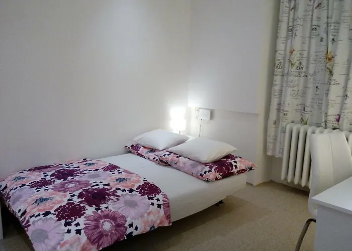 Vltava Daire *
